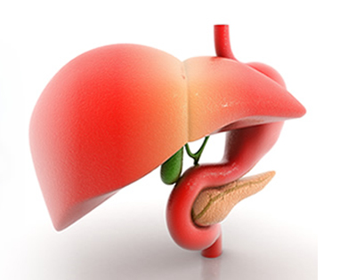 liver disease specialist in Navi Mumbai